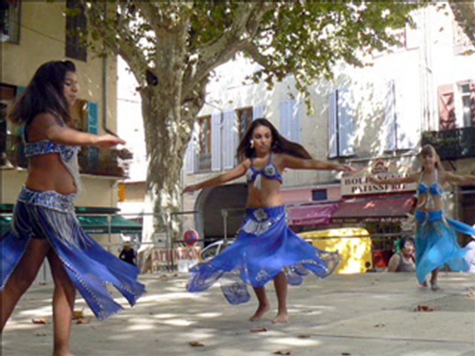 JOURNEE DES ASSOCIATIONS 2010 SALERNES ACTU INFOS SALERNES VAR 83