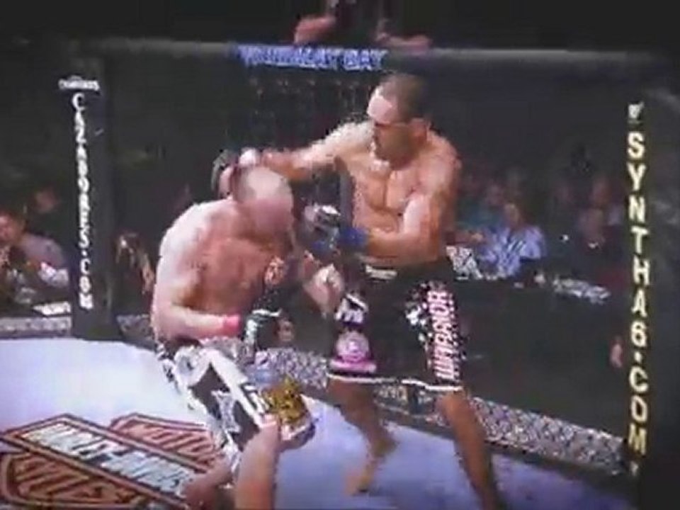 UFC 119: Mir vs. Cro Cop