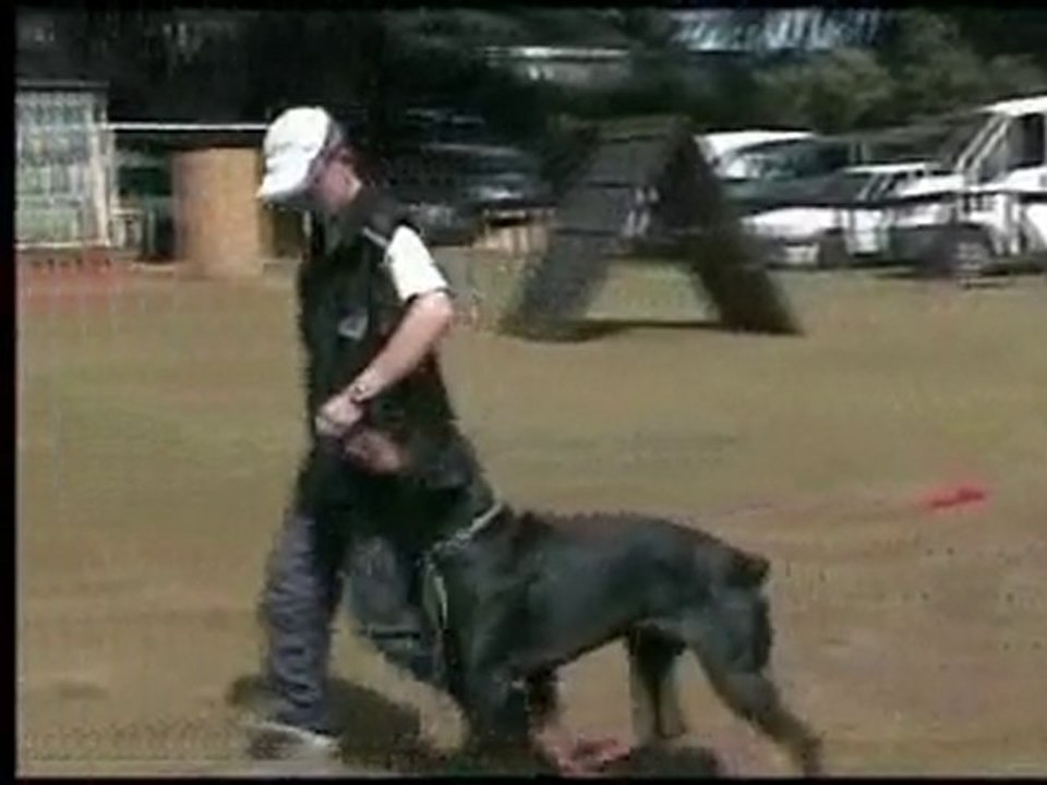 daicko marche aux pieds 2 ans 1/2