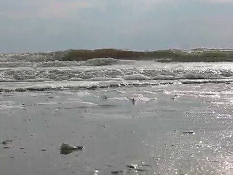 La Bernerie en Retz : la mer