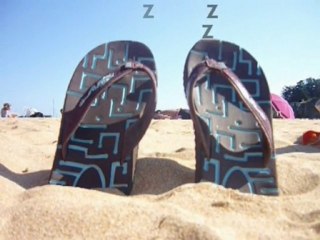 Avez-vous déjà vu ? Deux tongues qui se prélassent au soleil