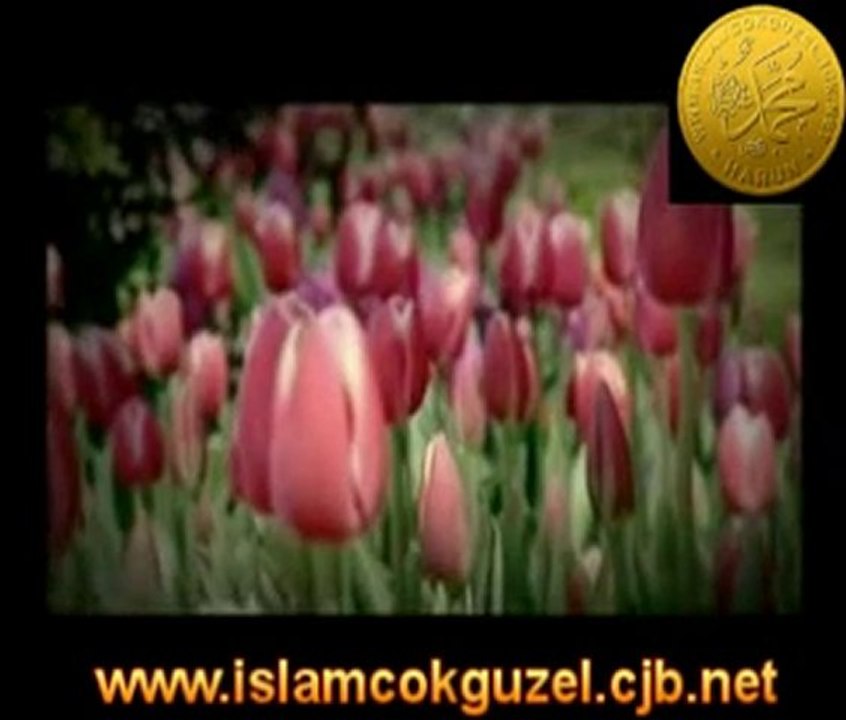 Allahumme Salli ala  |  www.bilgelim.com