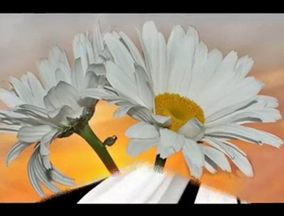 BARIŞ MANÇO - NICK THE CHOPPER