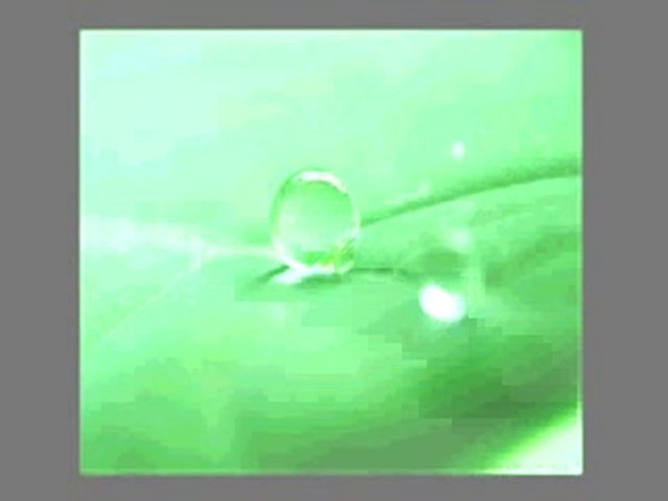 Ариф Абдуллах Мухаммед личността на всички времена-част 5