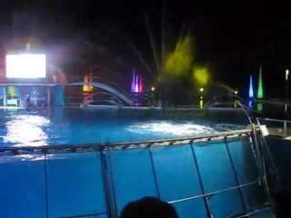 Marineland + anniv' 022