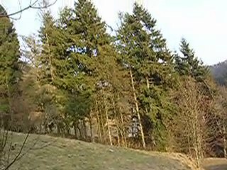 filmato  valsalega anno 2006 027