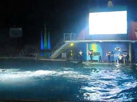 Marineland + anniv' 026