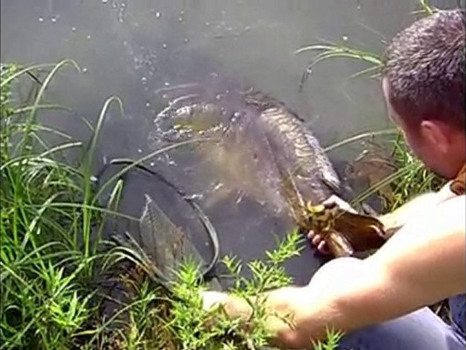 Les belles surprises du public