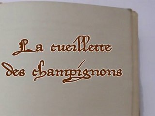 La cueillette des champignons