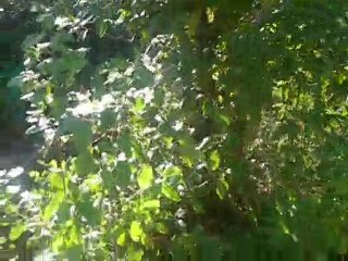 partie Airsoft / 4 sep 2010...