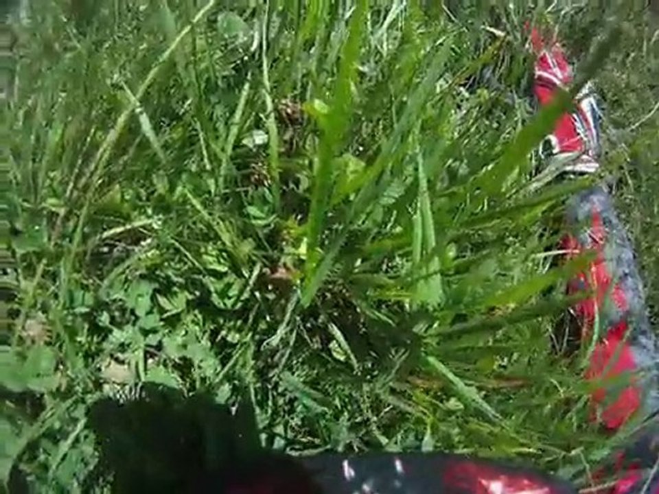 DH chute 2010
