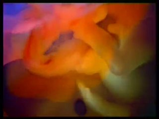 Het Wonder van de Schepping van de Mens (deel 5/5)