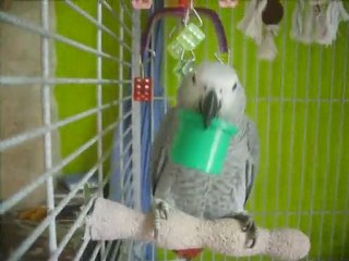 Aloha et ses jeux favoris