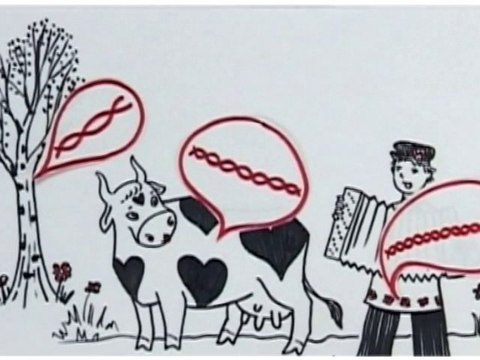 Частное и общее равны (60 секунд о Каббале)