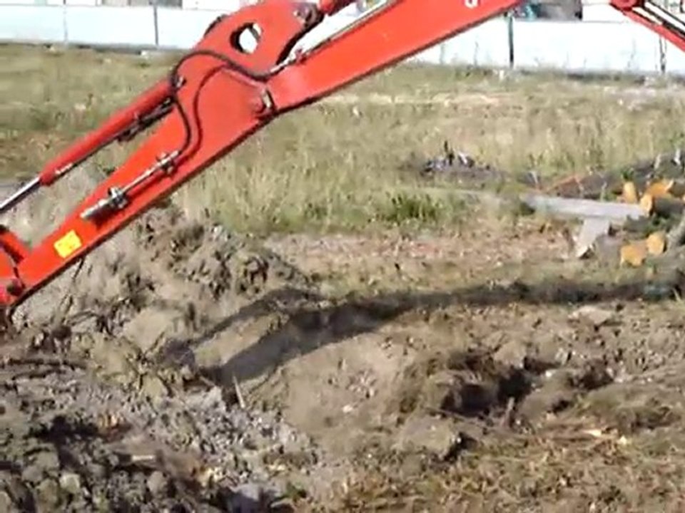 Aulnay-sous-Bois Tilleul Arc en ciel...