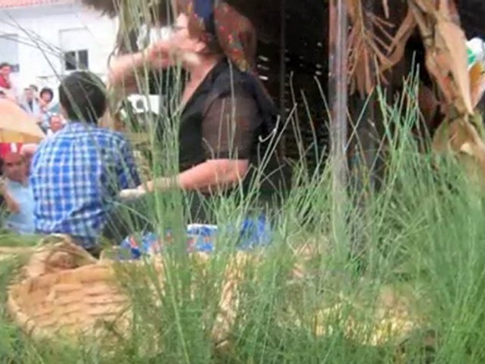 Cortejo Etnográfico em Ponte da Barca 2010