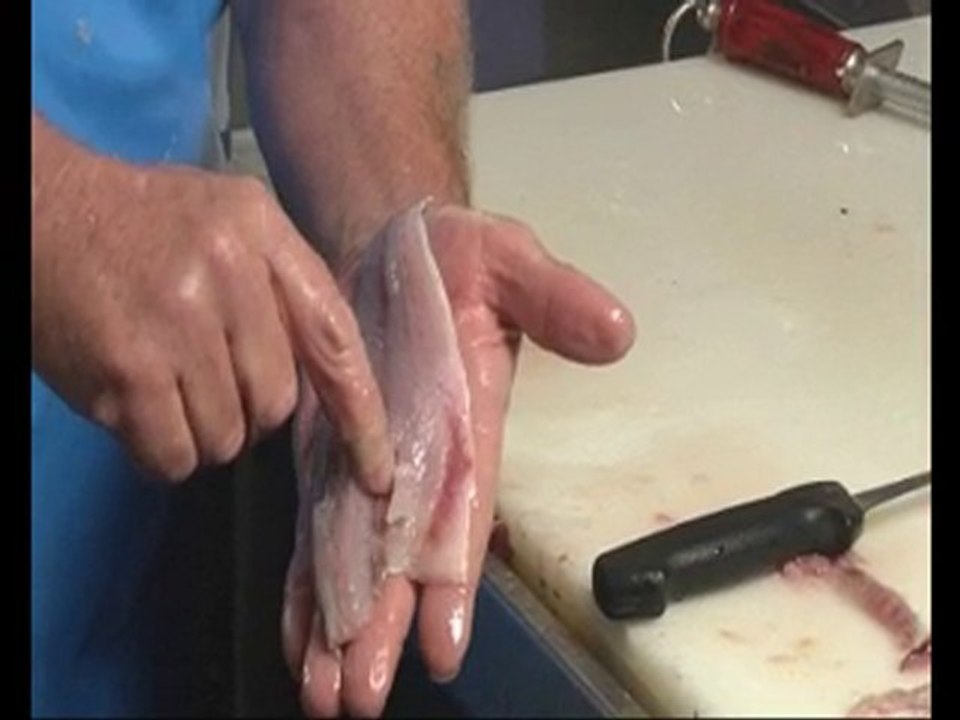How to Fillet a Fish - Fish Filleting Secrets Revealed!