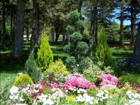 Pekin Kırgız Aray-Küçük Yaşta Aldım Sazı Elime