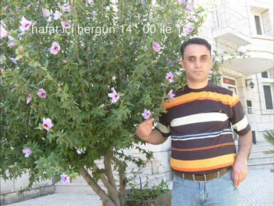 deniz sevgi yollara taşlara