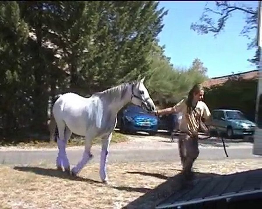 c'est la fin de l'été....5 septembre 2010.