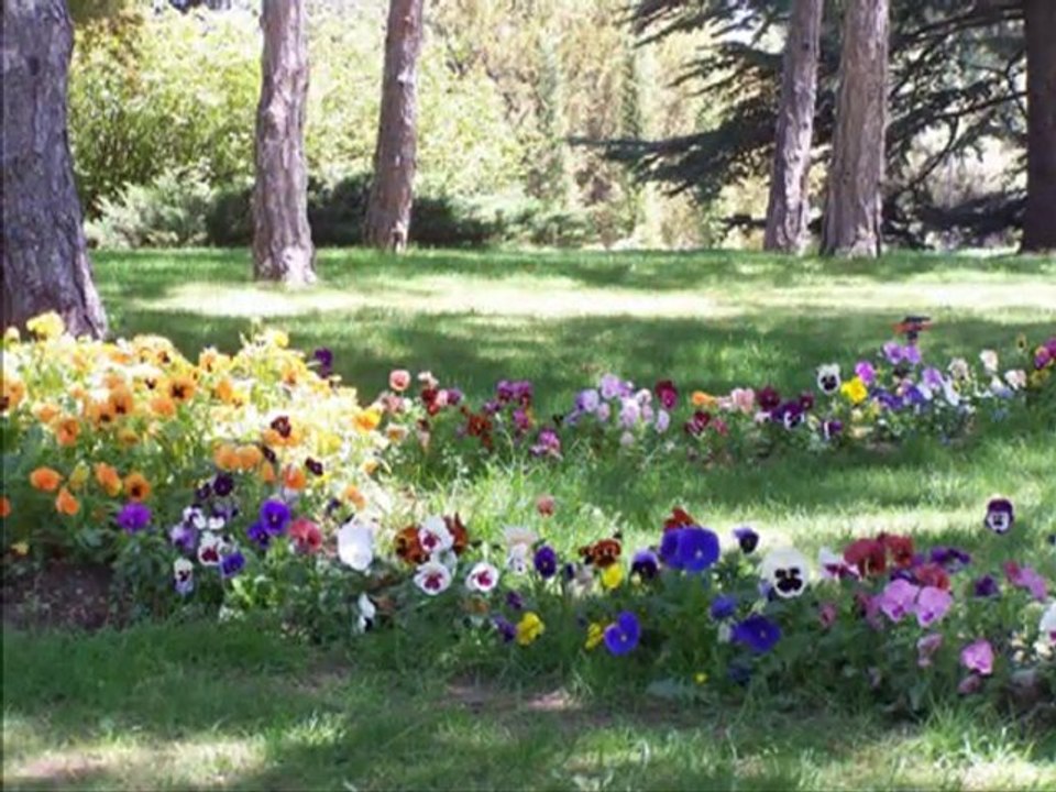 Seza Kırgız-Beyaz Giyme Toz Olur