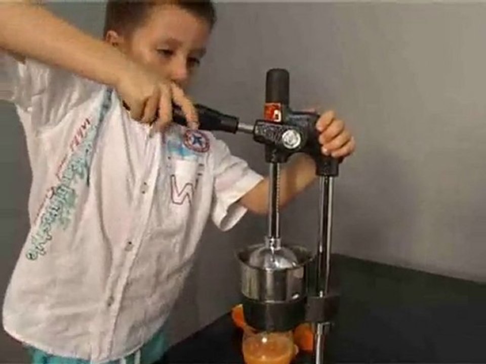 Meyve Presi