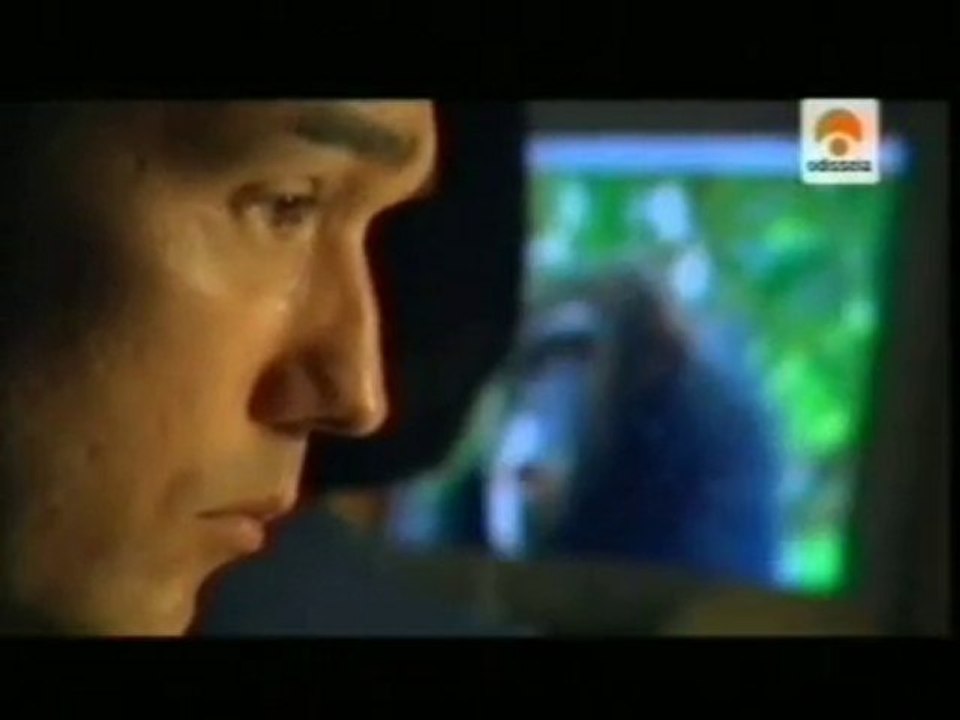 Expresiones faciales y risa de los chimpances