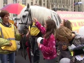 В ГИБДД появились жЫвотные!