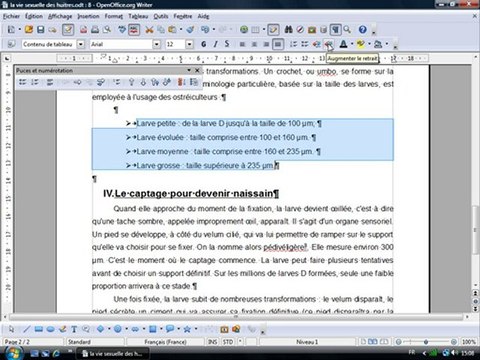 Traitement Texte 2.3 Les puces automatiques