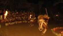 Zulu Dance - Zulu Dancers South Africa Performing ...