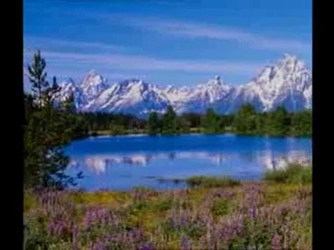 Müminler ancak Allah'a dua ederler