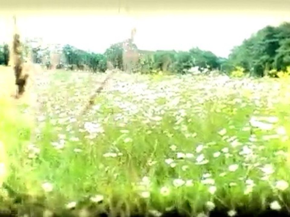 VIDEODE_02