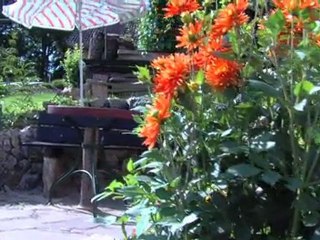 Häger Ferienhaus – Charmantes Urlaubsziel