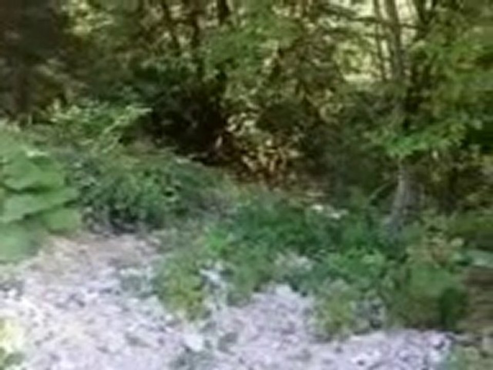 uçuruma taş yuvarlama