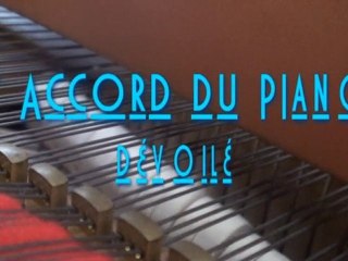 l' accord du piano en concert 2010 Jérôme R.