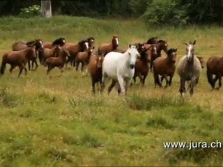 Le Canton du Jura (Suisse) fait son cinéma (Episode 1)
