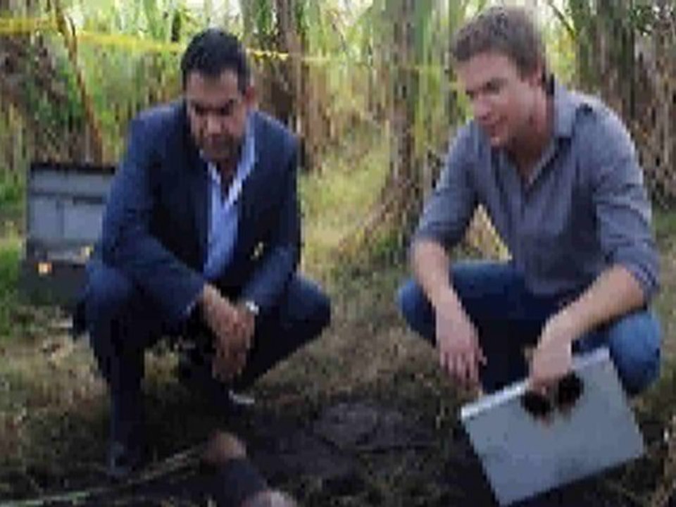 The Glades season 1 episode 9 Honey video Dailymotion