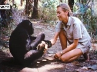 The German Film Magazine - 06.09.2010 | KINO