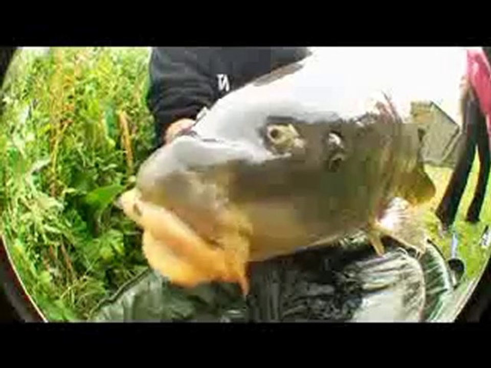 Team Carpe-record : Jonathan Deprès