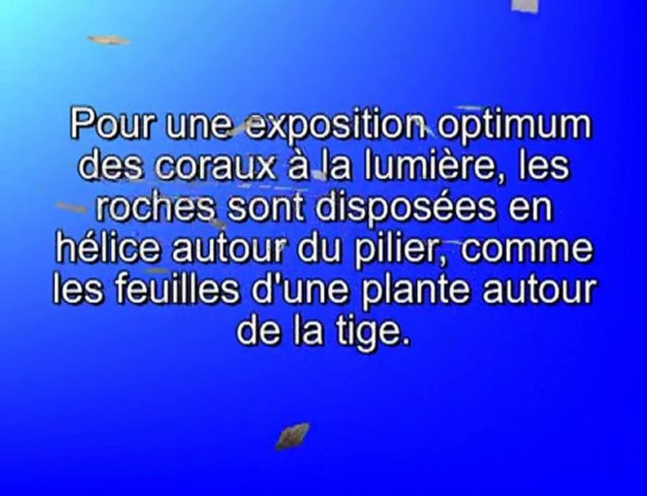 décor colonne pour aquarium récifal