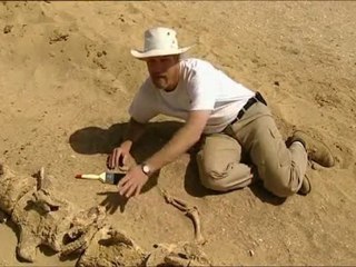 Marche avec les animaux - Le triomphe des mammiféres p2