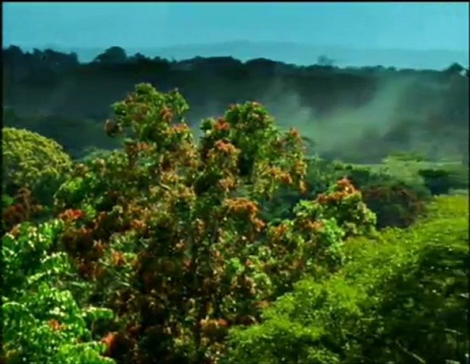 Marcher avec l'homme des cavernes part 1