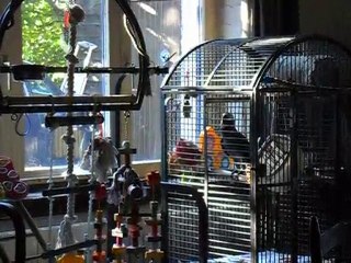 tu mange des bonbons !!!!!