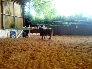 Début de roulade et l'arrosoir auto fait peur ^^