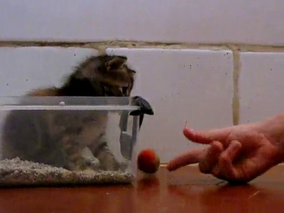 Olyanna joue avec Arnaud