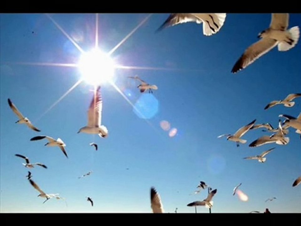 Volkan Konak Şiiri & Zeki Müren Elbet Bir Gün Buluşacagız!