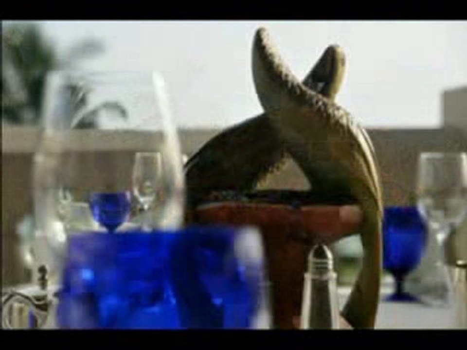 (Network Marketing Business Opportunity) - Meetings in Jama