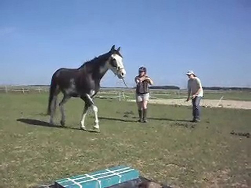 HASTA LUEGO Criollo Argentin: 2. Myriam et Céline.SDC12898
