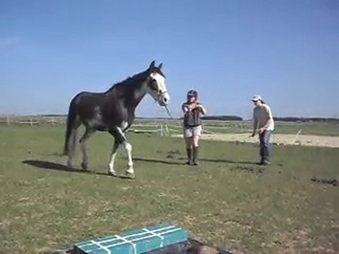 HASTA LUEGO Criollo Argentin: 2. Myriam et Céline.SDC12898