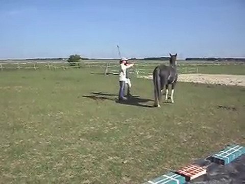 Hasta luego CRIOLLO ARGENTIN: Céline et Myriam. SDC12899